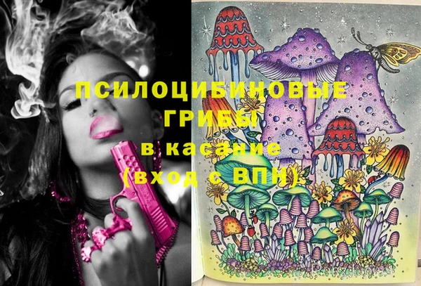бошки Михайловск